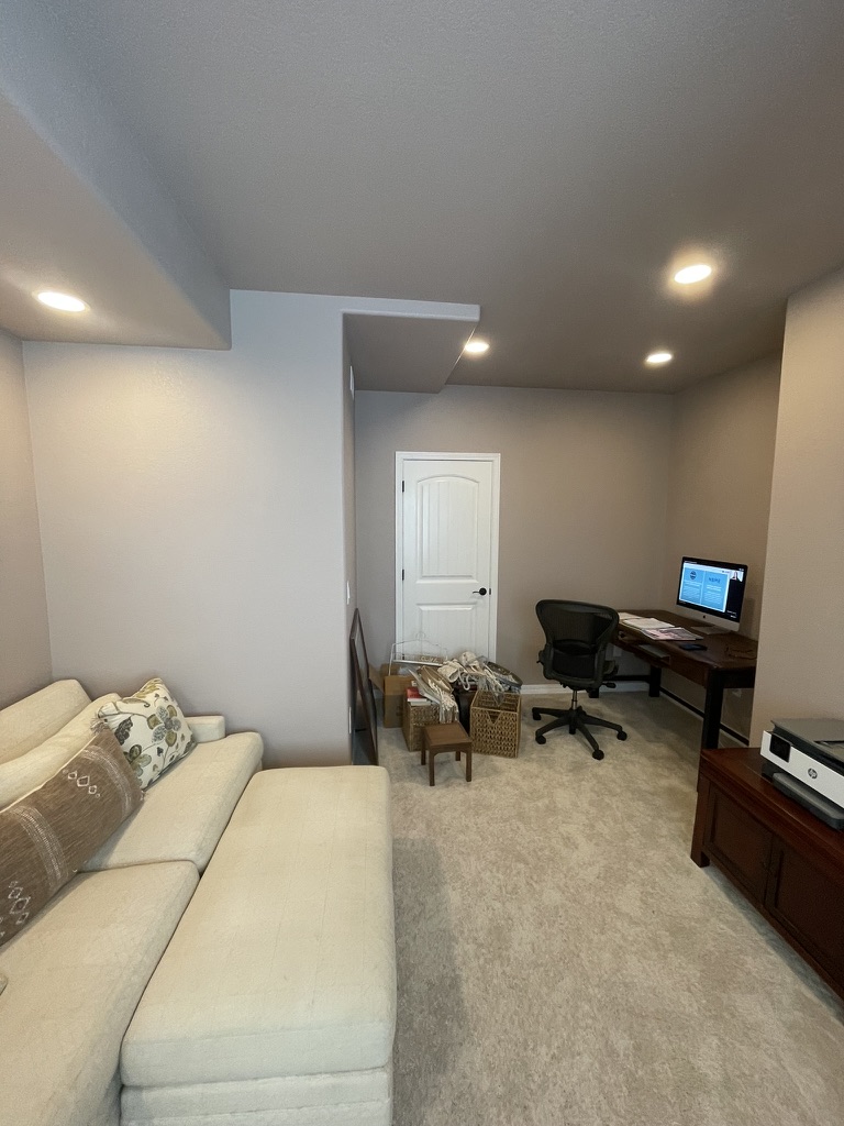 Basement Finish & Living Space Transformation